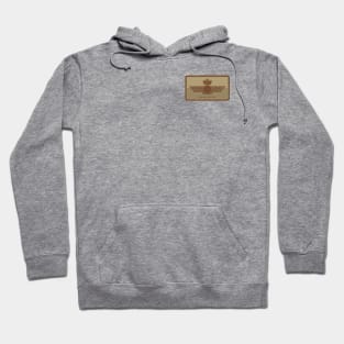 Spanish Air Force (Small logo) Hoodie